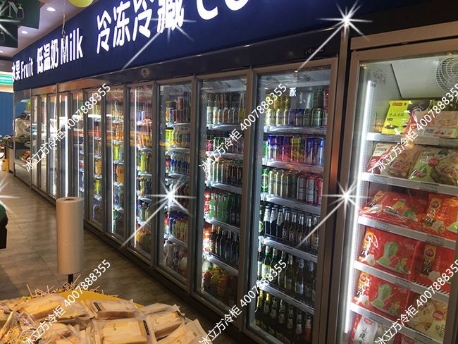 龙岗汇乐购11门冰柜2门冷冻冷藏柜2.5米生肉柜